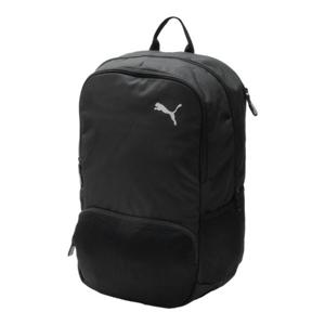M 푸마백팩 ZQC 090458-01 푸마 팀골 백팩 프리미엄