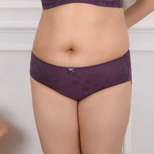 빅사이즈 고급원단 노라인 맥시햄팬티 베이직팬티