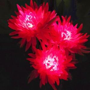 국화 LED 태양광 꽃정원등(핑크) LED꽃 조명