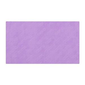 [아레나] (A5AC1AX05_PPL) 습식타올(소)