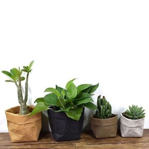 빨아쓰는 빈티지 종이화분(소)13x13x23cm