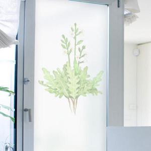 아트박스/꾸밈 cj875_m-무점착유리시트_루꼴라_유리문시트지