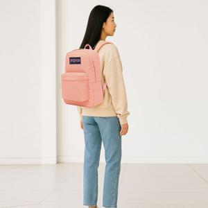 [잔스포츠]잔스포츠 학생가방 슈퍼브레이크 원 학생백팩 백팩 스포츠 학교 여행 가방 피치