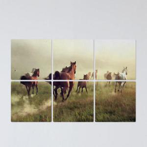 아트박스/꾸밈 tf259-멀티액자_성공을향해질주하는말