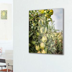 아트박스/꾸밈 ts721-폼아크릴액자38CmX38Cm_풋사과나무