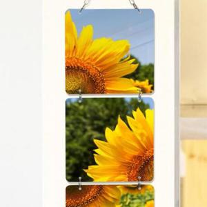 아트박스/꾸밈 nn214-멀티아크릴액자_해바라기한송이(4단소형)