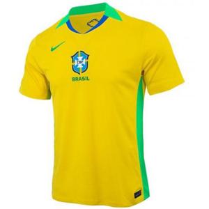 나이키 반팔 브라질 2025 드라이 스타디움 홈 저지_FZ9011-718