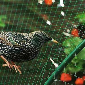 새 그물망 농작물 보호 그물 방조망 4x10m DD-11974