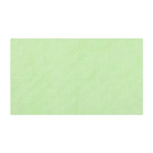 [아레나] (A5AC1AX01_GRN) 공용 습식타올(소)