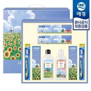 [애경선물세트] 꽃길 3호 x1개