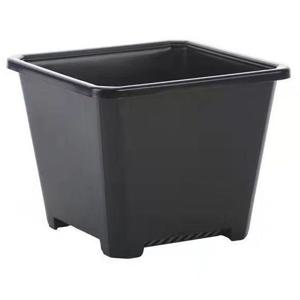 플라스틱 사각 다육이 화분(9 X 9cm)