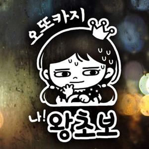 오또카지 나 왕초보 초보운전스티커-반사