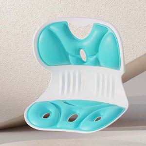 케어리즘 바른자세의자 리라인체어 좌식의자 (그린) 플라스틱의자 등받이의자 의자등받이 낮은의자 자세의자 1인의자 허리의자 쿠션의자 의자허리받침대