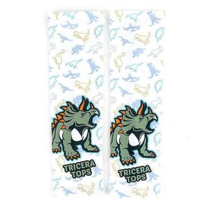 다이몬쥬 트리케라톱스 쿨토시