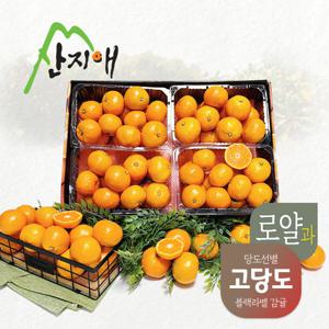 산지애 고당도 블랙라벨 제주 감귤 4kg (1kg*4팩*1박스)