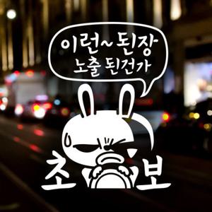 이런 된장 노출된건가 초보 / 자동차스티커 초보운전