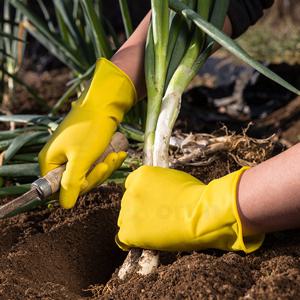 [ORUN]후디스 다용도 미니 10매/천연고무/습진예방/항균