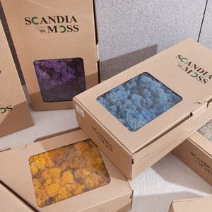 스칸디아모스 천연이끼 공기정화 식물 500g 23컬러 만들기 재료 키트 diy 인테리어