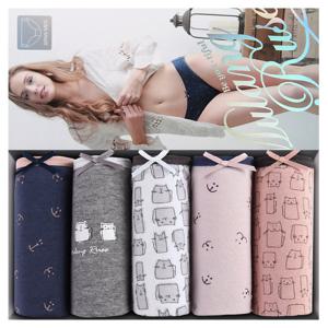 MR 코이 미디 / 여성팬티 5매입 여자 속옷 면 스판 삼각 팬티