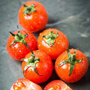 대추방울토마토 2kg 4번과