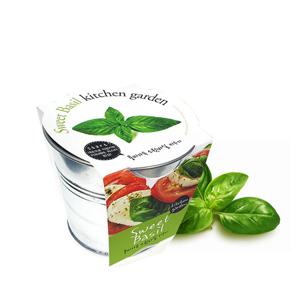 마이플랜트 양철키친가든 허브 스윗 바질 텃밭 재배세트