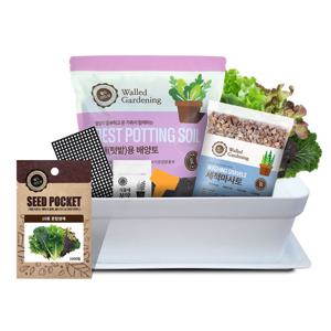 월드가드닝 미니텃밭세트 10종혼합쌈채