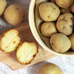 [미식한가] 해남 산지직송 수미감자 중 10kg (50-70g 내외)