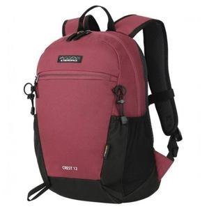 레드페이스 HC27 크레스트12L BG REEGBPX23