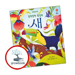 깜짝깜짝 팝업북 새 깜짝깜짝팝업북새 책