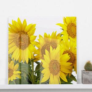 아트박스/꾸밈 tm126-아크릴액자_하늘과해바라기(소형)