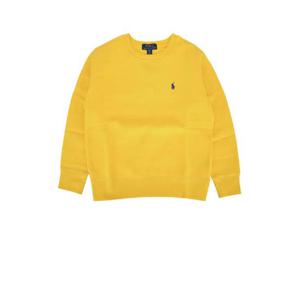 POLO RALPH LAUREN JR LS CN TOPS KNIT 323799359 041