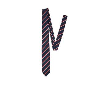 25 FW 디스퀘어드2 스트라이프 실크 넥타이 TIM000105S08812 TP445857286