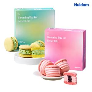 널담 벚꽃에디션 봄 마카롱 총 16개(체리/피스타치오 중 선택)