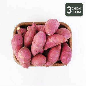 [삼촌밥먹자] 세척 꿀 밤고구마 (소)5kg