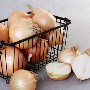 [산지직송]전남 무안 햇 양파 5kg (대)