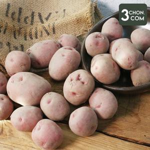 [삼촌밥먹자] 카스테라처럼 포슬함이 매력인 붉은 홍감자(중대) 3kg