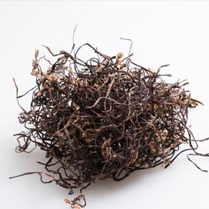 쫄깃하고 부드러운 국내산 건고사리 마른고사리 말린고사리 100g