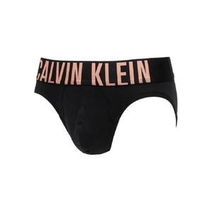 25 FW 캘빈클라인 인텐스 파워 코튼 브리프 3팩 세트 000NB3607AVVN TP440048471