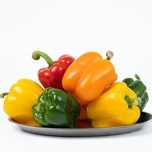 국내산 신선한 파프리카 5kg
