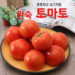 [햇살아름]몸에 좋은 영양가득 토마토(쥬스용)5kg