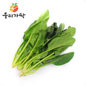 [우리가락]시금치 4kg 한박스