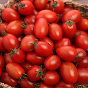 [우리가락]방울토마토 500g 1봉