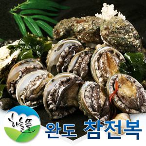 완도 참 전복 1kg(9-11미)
