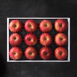 [작심밀도]산지직송 명품 경북사과세트 1호 5kg(12-14과/정품)