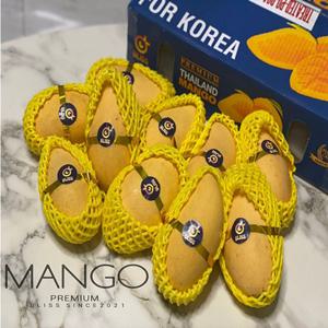 블리스 태국 생망고 4kg 7과~14과 프리미엄 망고 항공직송