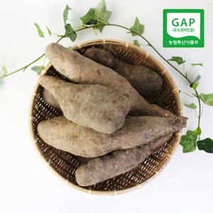 [북안동농협] 안동 산마(중) 5kg