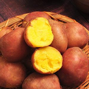 25년산 홍감자(빨간감자) 3kg (대)