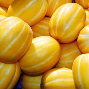 향기나는 성주참외 3kg 8-15과