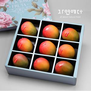 Songs 애플망고9과 프리미엄 선물세트