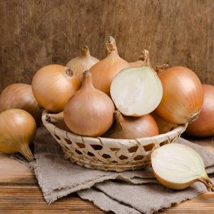 25년산 무안 황토 양파 5kg (중)